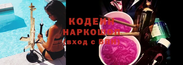 мяу мяу мука Иннополис