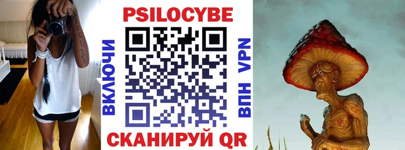 Купить закладки  Горно-Алтайск  Псилоцибиновые грибы GOLDEN TEACHER 
